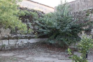 silica del Murgo-21-10-2015 18-49-10